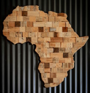 africa1-289×300